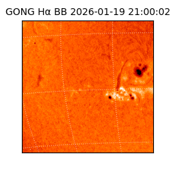 gong - 2026-01-19T21:00:02