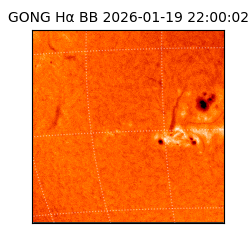 gong - 2026-01-19T22:00:02