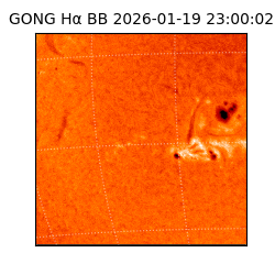 gong - 2026-01-19T23:00:02