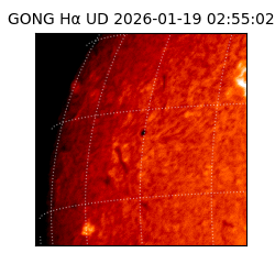 gong - 2026-01-19T02:55:02