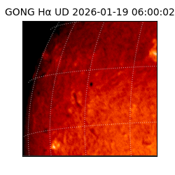 gong - 2026-01-19T06:00:02