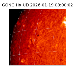 gong - 2026-01-19T08:00:02