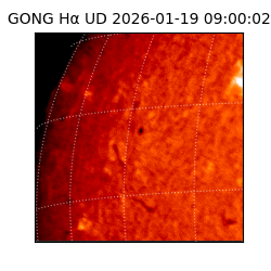 gong - 2026-01-19T09:00:02