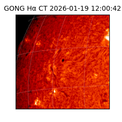 gong - 2026-01-19T12:00:42