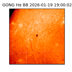 gong - 2026-01-19T19:00:02