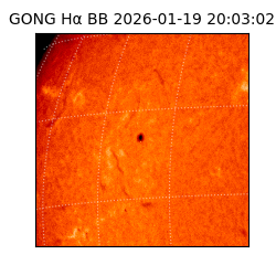 gong - 2026-01-19T20:03:02