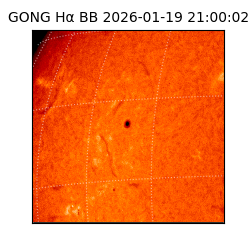 gong - 2026-01-19T21:00:02