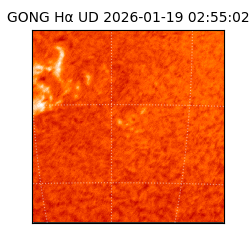 gong - 2026-01-19T02:55:02