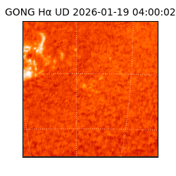 gong - 2026-01-19T04:00:02