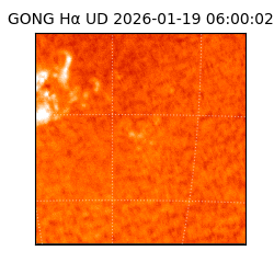gong - 2026-01-19T06:00:02