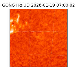gong - 2026-01-19T07:00:02