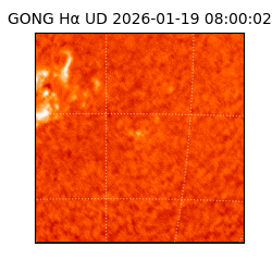 gong - 2026-01-19T08:00:02