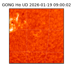 gong - 2026-01-19T09:00:02