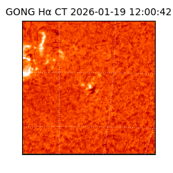 gong - 2026-01-19T12:00:42