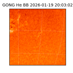 gong - 2026-01-19T20:03:02
