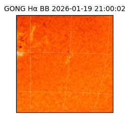 gong - 2026-01-19T21:00:02
