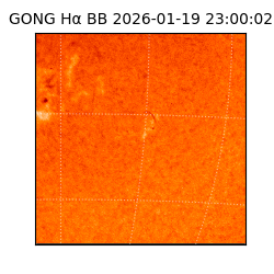 gong - 2026-01-19T23:00:02