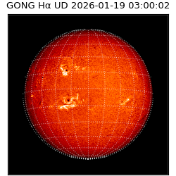gong - 2026-01-19T03:00:02