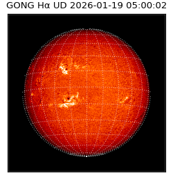 gong - 2026-01-19T05:00:02