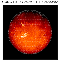 gong - 2026-01-19T06:00:02