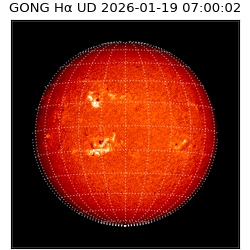 gong - 2026-01-19T07:00:02