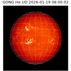 gong - 2026-01-19T08:00:02