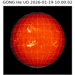 gong - 2026-01-19T10:00:02