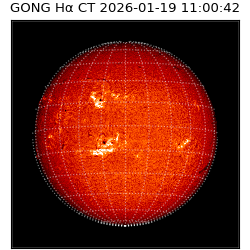 gong - 2026-01-19T11:00:42