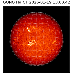 gong - 2026-01-19T13:00:42