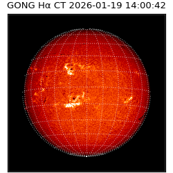 gong - 2026-01-19T14:00:42