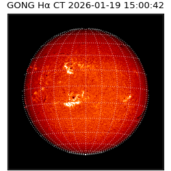gong - 2026-01-19T15:00:42