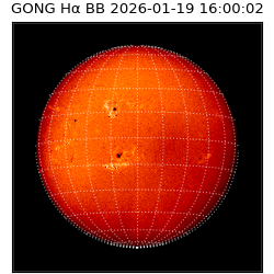 gong - 2026-01-19T16:00:02