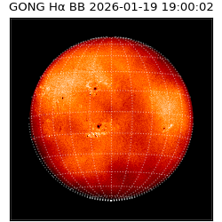 gong - 2026-01-19T19:00:02