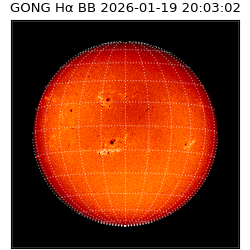 gong - 2026-01-19T20:03:02