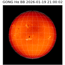 gong - 2026-01-19T21:00:02