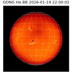 gong - 2026-01-19T22:00:02