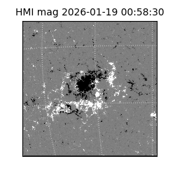 shmi - 2026-01-19T00:58:30