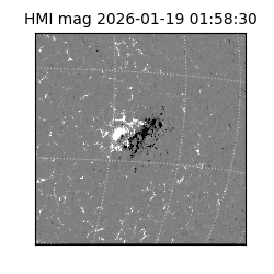 shmi - 2026-01-19T01:58:30