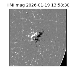shmi - 2026-01-19T13:58:30