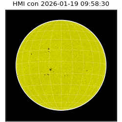 shmi - 2026-01-19T09:58:30.100000