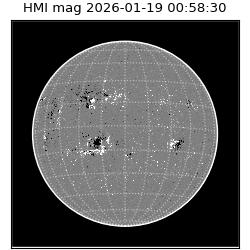 shmi - 2026-01-19T00:58:30