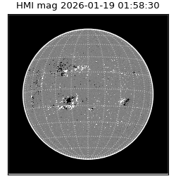 shmi - 2026-01-19T01:58:30