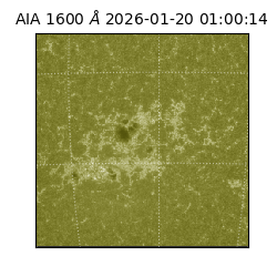 saia - 2026-01-20T01:00:14.126000