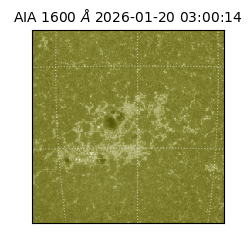 saia - 2026-01-20T03:00:14.126000