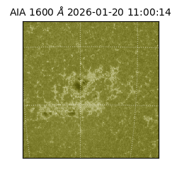 saia - 2026-01-20T11:00:14.129000