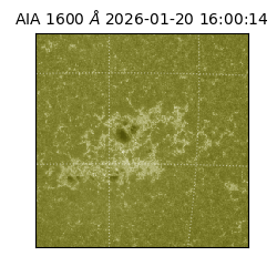 saia - 2026-01-20T16:00:14.129000