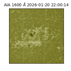 saia - 2026-01-20T22:00:14.126000