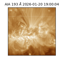 saia - 2026-01-20T19:00:04.844000