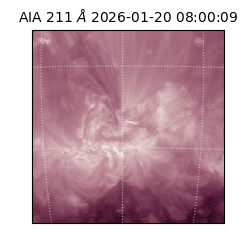 saia - 2026-01-20T08:00:09.625000