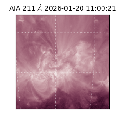 saia - 2026-01-20T11:00:21.626000